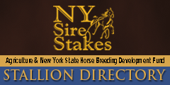 Stallion Directory